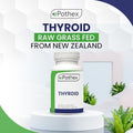 EPOTHEX Raw Grass Fed Desiccated Bovine Thyroid 60 capsules front bottle view for metabolism support