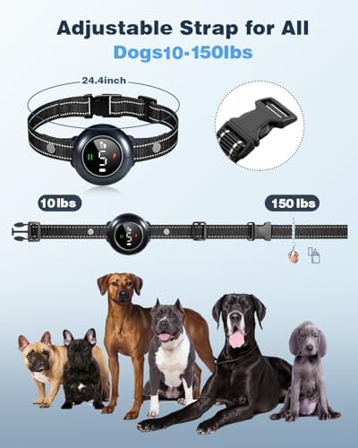Complete pet training kit containing the dual adapter charging cable and safe shock probes.