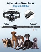Complete pet training kit containing the dual adapter charging cable and safe shock probes.