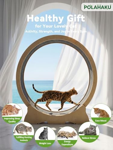 POLAHAKU wooden cat wheel with built in safety lock mechanism engaged