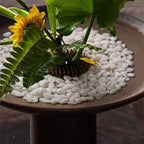 Educational display of white river rocks for home decor