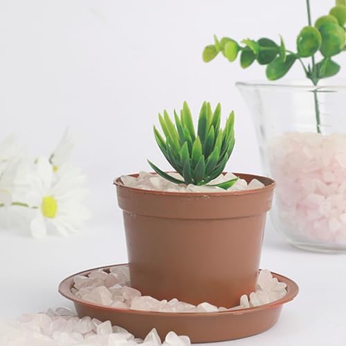 Rose quartz chips applied as decorative topping for indoor potted plant