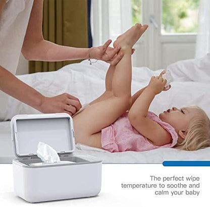 Dakong large capacity wipe warmer open showing interior