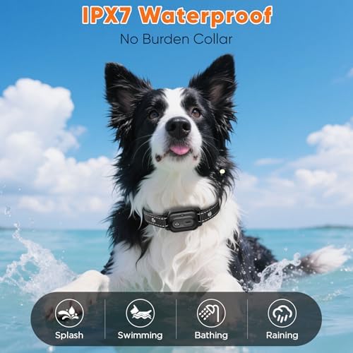 Premium imported pet training tool kit with charging accessories included