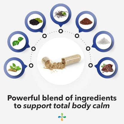 LifeSeasons Anxie T dietary supplement bottle with natural mood support ingredients.