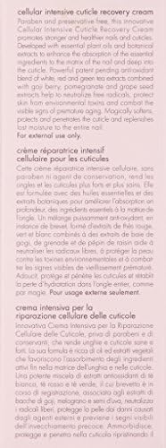 Authentic June Jacobs cuticle recovery cream side profile