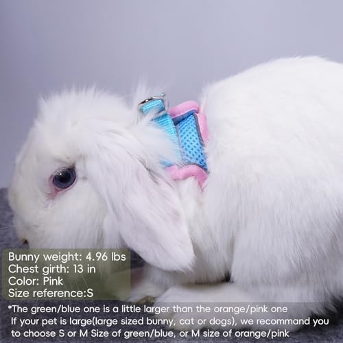 FiboPawer soft padded bunny harness back view with metal D ring