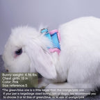FiboPawer soft padded bunny harness back view with metal D ring
