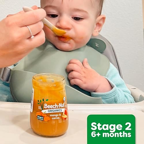 Beech-Nut organic baby food 4 ounce jar top view