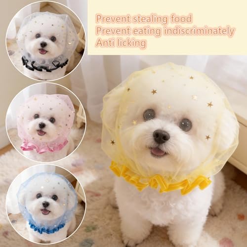 MdouLy extra extra small puppy muzzle mesh texture close up