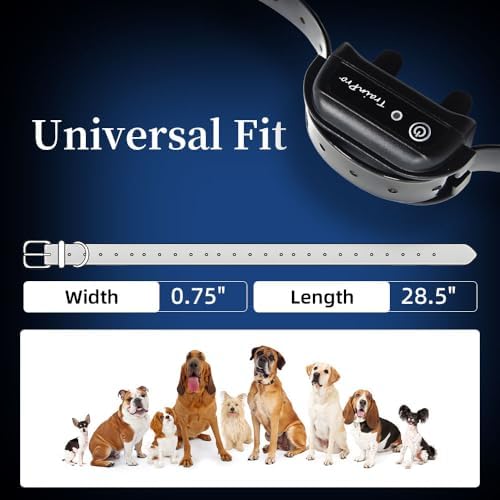 Durable waterproof texture of the EveryPet black collar strap