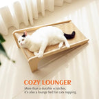 Easy five minute assembly guide layout for PETKARAY wooden cat scratcher ramp large size.