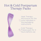 Lansinoh postpartum recovery kit components including therapy pack sleeves