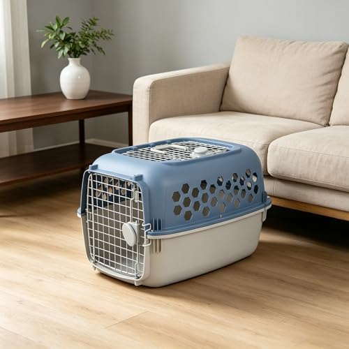 Top loading puppy carrier container in blue and grey colors