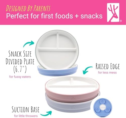 Top down view of 3-section divided porcelain plate for babies