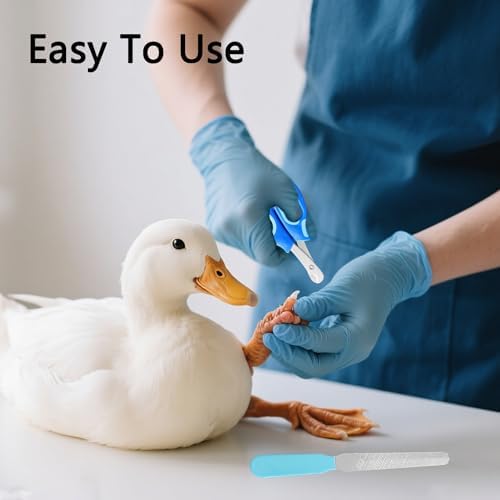 Dasezsdt duck and chicken nail clippers in secure closed locked position