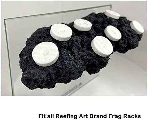 Ceramic frag plugs with aquarium adhesive