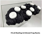 Ceramic frag plugs with aquarium adhesive