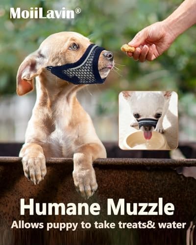 Internal soft padding view of dog mouth guard