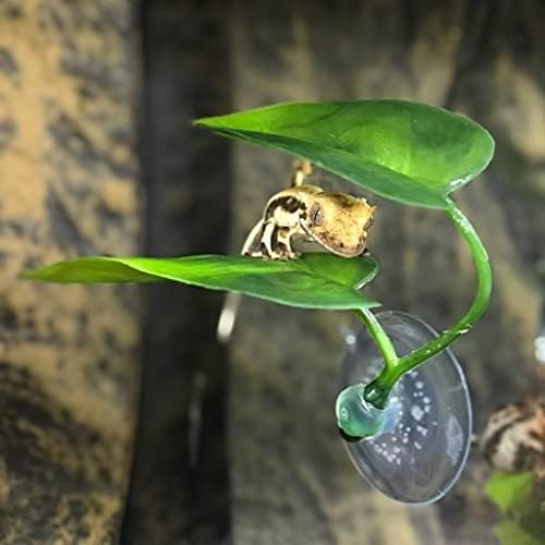 DODOAQUA simulated natural habitat leaf bed inside a clean freshwater aquarium