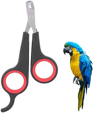 Simlug bird grooming tool stainless steel blades closeup