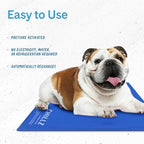 The Green Pet Shop Chillz Gel Mat Large placed inside a dog crate to illustrate proper sizing.