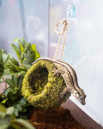 Handmade Crested Gecko Tank Accessories - Bearded Dragon Accessories, Reptile Hideout, Hermit Crab and Small Reptile Habitat 4.7x3.5x9in - Image 6