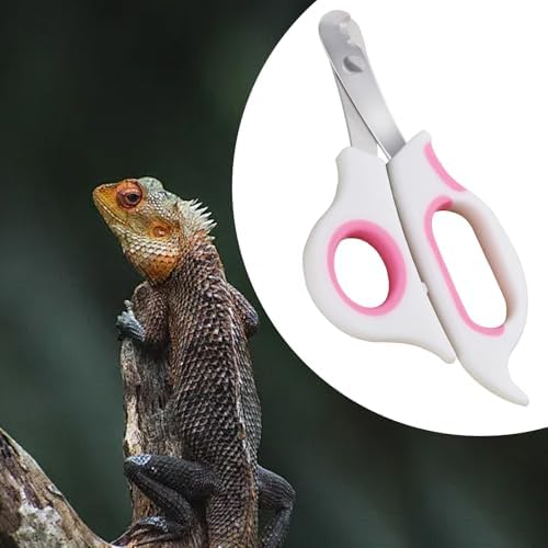 KEUYE pet nail clipper package showcasing safe grooming tools for lizards