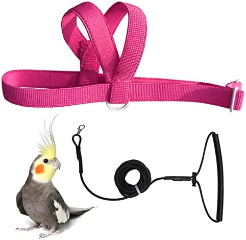Vanfavori bird leash kit with nylon harness for outdoor flight training