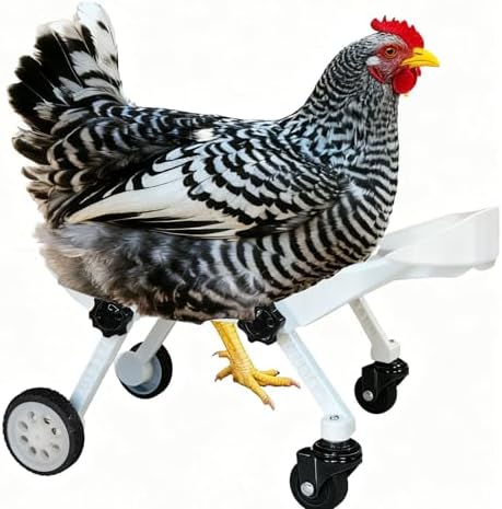 The white ANIMOASIS poultry wheelchair placed on an indoor floor displaying its smooth rolling caster wheels.