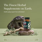 Gaia Herbs Resveratrol liquid phyto capsules macro shot