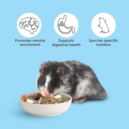 Kaytee Food From The Wild hamster diet texture and seed mix