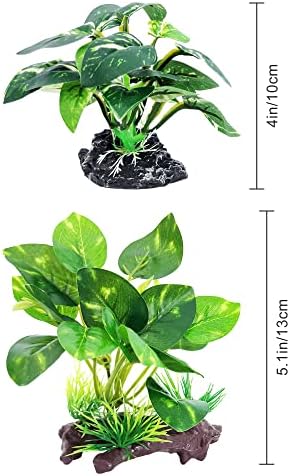 Durable Vtapliea terrarium foliage accentuating a tropical amphibian habitat enclosure