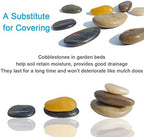 Natural smooth stones used as vase filler
