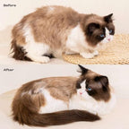 Premium imported waterless cat grooming kit box contents close up