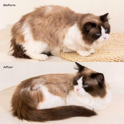 Premium imported waterless cat grooming kit box contents close up