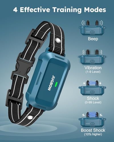 Remote training controller for dogs with security lock and multiple channel selection buttons