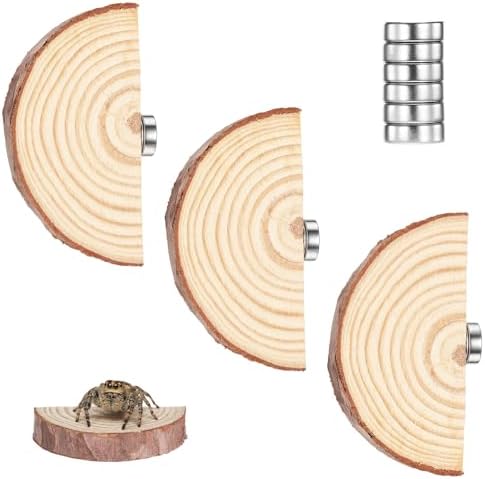 Jumping Spider Accessories, Jumping Spider Enclosure Accessories Kit Habitat Decor, 3Pcs Wood Decor, Fun Enclosure for Climbing & Hiding - Image 2