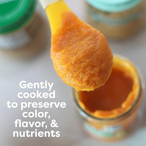 Beech-Nut Stage 1 baby food jar showing USDA Organic certification