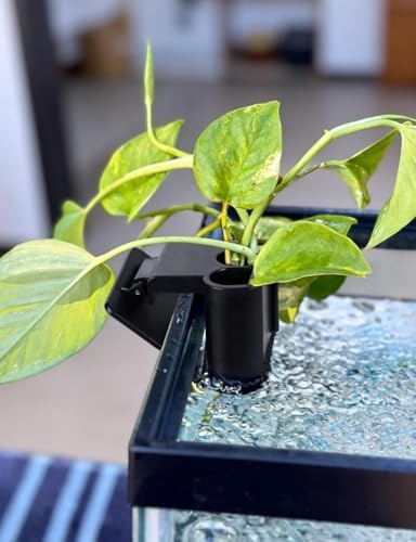 Non toxic ABS plastic aquatic planter holding pothos on fish tank edge
