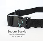 Small breed dog muzzle ready for use
