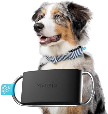 Invoxia Minitailz dog tracker attached to a collar