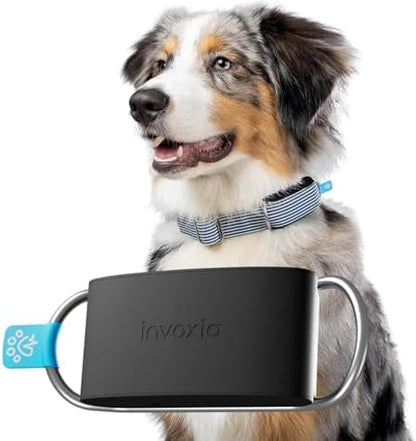 Invoxia Minitailz dog tracker attached to a collar