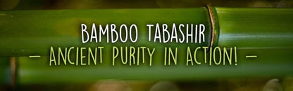 Ancient Purity bamboo tabashir powder scoop and product size