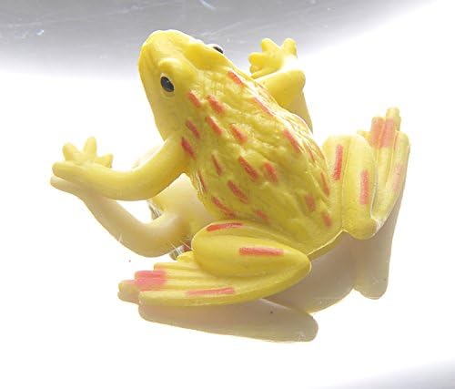 PowerTRC optical illusion device projecting a floating three dimensional replica of the included plastic frog.