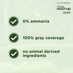 Back of Clairol Root Touch-Up 2 Black box showing instructions