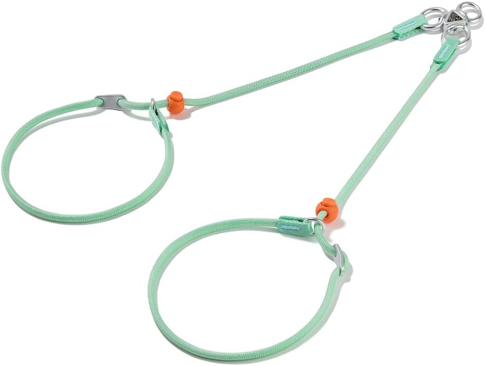Howgo Double Slip Leash Slip Lead with Two Handles| Dual Dog Slip Lead for 2 Dogs,360 degrees Swivel No Tangle | Dog Training Collar | Double Clip Leash Coupler and Splitter (Multicolor, 6FT) - Image 12