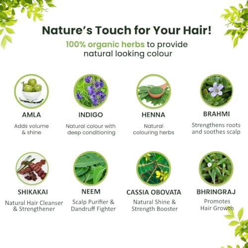 Joyful Young imported Ayurvedic herbal hair color powder inside packaging