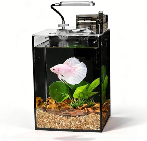 Close up of Zxie-Cloud ultra-clear glass betta tank