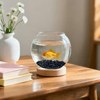 Aquarium layout featuring black natural gravel substrate